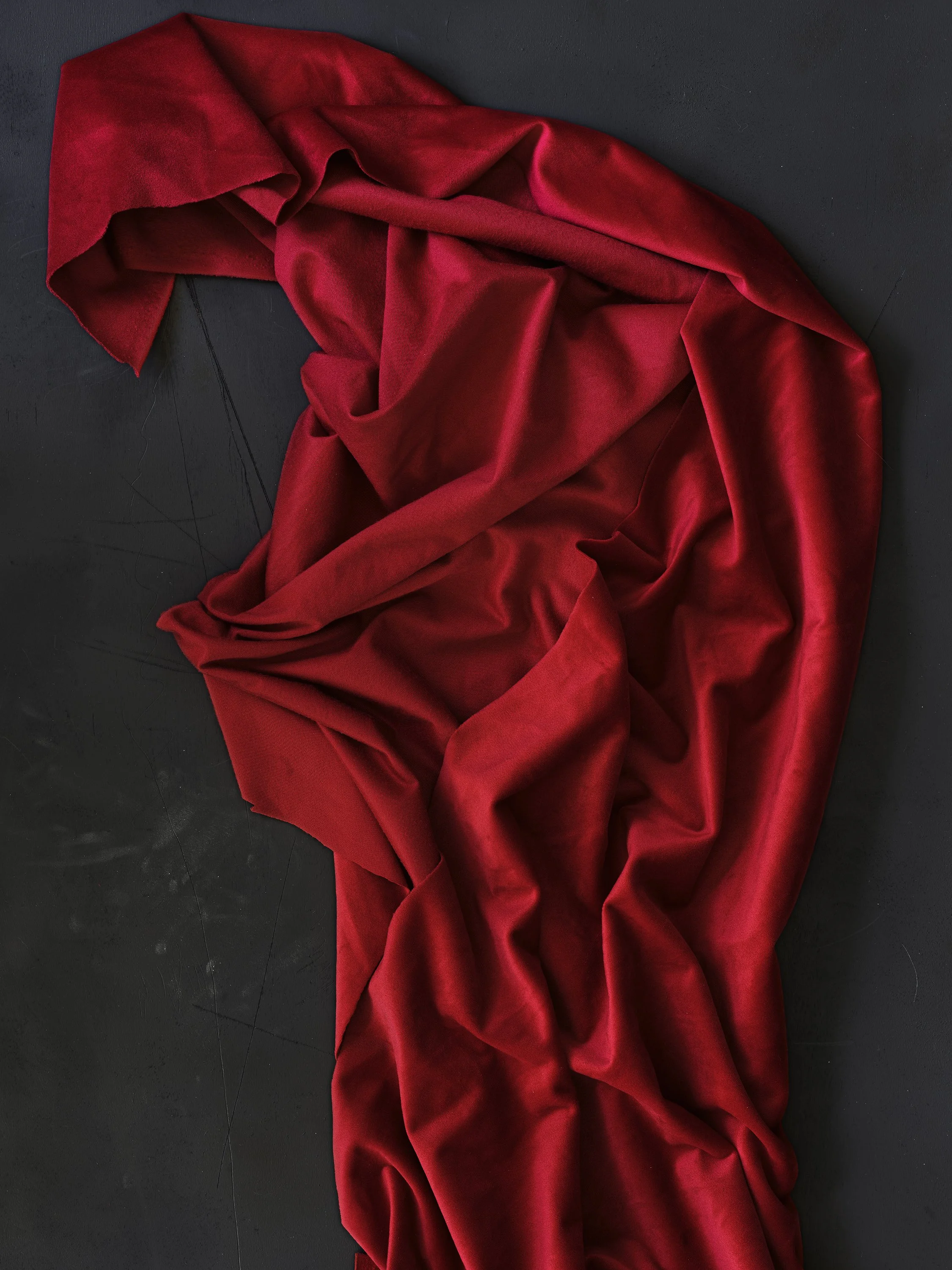 Cloth: Ghosts, Phantoms, and Still Lifes — Abelardo Morell